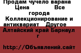 Продам чучело варана. › Цена ­ 15 000 - Все города Коллекционирование и антиквариат » Другое   . Алтайский край,Барнаул г.